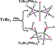 Graphical abstract: Synthesis, structure, and first-principles calculations of [TcBr2(PMe3)4] and [Tc2Br4(PMe3)4] complexes