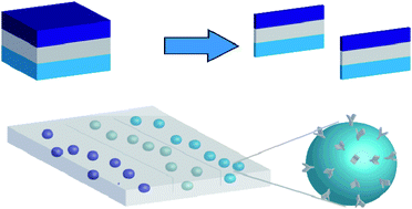 Graphical abstract: Multilayers of hydrogels loaded with microparticles: a fast and simple approach for microarray manufacturing