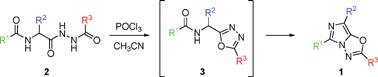 Graphical abstract: Robust preparation of novel imidazo[5,1-b][1,3,4]oxadiazoles