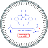 Graphical abstract: Asymmetric Baeyer–Villiger oxidation with Co(Salen) and H2O2 in water: striking supramolecular micelles effect on catalysis