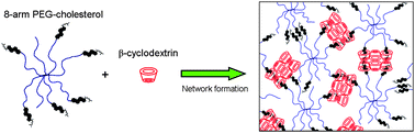 Graphical abstract: Supramolecular hydrogels formed by β-cyclodextrin self-association and host–guest inclusion complexes