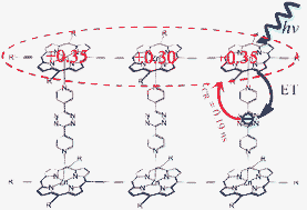 Graphical abstract: Photoinduced electron transfer from rail to rung within a self-assembled oligomeric porphyrin ladder