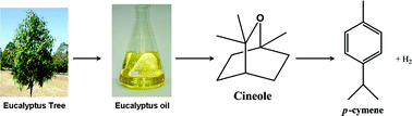 Graphical abstract: Production of p-cymene and hydrogen from a bio-renewable feedstock–1,8-cineole (eucalyptus oil)