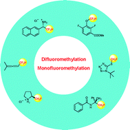 Graphical abstract: Selective difluoromethylation and monofluoromethylation reactions