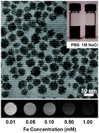 Graphical abstract: Highly dispersible, superparamagnetic magnetite nanoflowers for magnetic resonance imaging