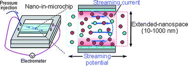 Graphical abstract: Streaming potential/current measurement system for investigation of liquids confined in extended-nanospace