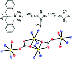 Graphical abstract: Carbonate formation within a nickel dimer: synthesis of a coordinatively unsaturated bis(μ-hydroxo) dinickel complex and its reactivity toward carbon dioxide