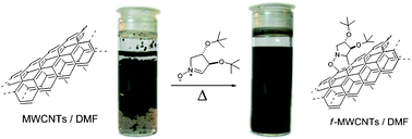 Graphical abstract: Can nitrones functionalize carbon nanotubes?