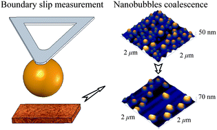 Graphical abstract: Boundary slip and nanobubble study in micro/nanofluidics using atomic force microscopy