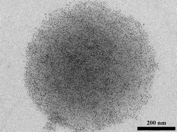Graphical abstract: CdSe/CdS nanoparticles immobilized on pNIPAm-based microspheres