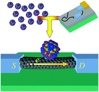 Graphical abstract: Effect of sequential grafting of magnetic nanoparticles onto metallic and semiconducting carbon-nanotube devices: towards self-assembled multi-dots