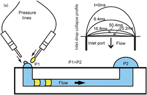 Graphical abstract: An automated microdroplet passive pumping platform for high-speed and packeted microfluidic flow applications