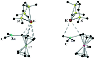 Graphical abstract: Potassium-mediated zincation of ferrocene and ruthenocene: potassium, the architect behind supramolecular structural variations