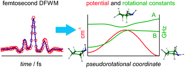 Graphical abstract: Pseudorotation in pyrrolidine: rotational coherence spectroscopy and ab initio calculations of a large amplitude intramolecular motion