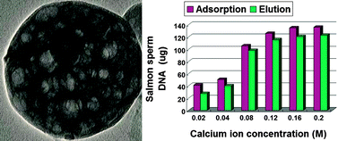 Graphical abstract: Calcium phosphate/PLGA-mPEG hybrid porous nanospheres: A promising vector with ultrahigh gene loading and transfection efficiency