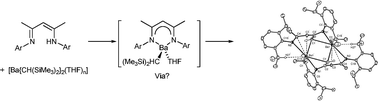 Graphical abstract: β-Diketiminate C–H activation with heavier group 2 alkyls