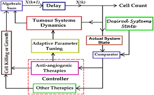 Graphical abstract: Dynamical model for assessment of anti-angiogenic therapy of cancer