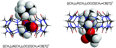 Graphical abstract: Cucurbit[7]uril host–guest complexes of cholines and phosphonium cholines in aqueous solution