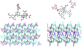 Graphical abstract: Hydrogen-bonded networks formed from tri- and tetra-substituted adamantanes bearing dimethoxyphenol moieties and their 1,3,5-trinitrobenzene complexes via charge-transfer interactions