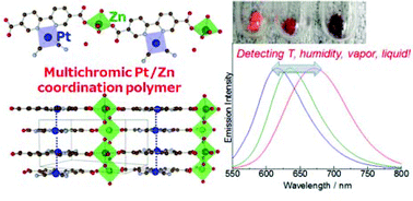 Graphical abstract: Multifunctional sensing ability of a new Pt/Zn-based luminescent coordination polymer