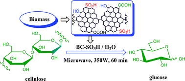 Graphical abstract: Microwave-assisted hydrolysis of crystalline cellulose catalyzed by biomass char sulfonic acids