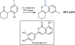 Graphical abstract: Palladium-catalyzed aryl halide carbonylation–intramolecular O-enolate acylation: efficient isocoumarin synthesis, including the synthesis of thunberginol A