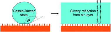 Graphical abstract: Immersed superhydrophobic surfaces: Gas exchange, slip and drag reduction properties