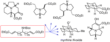 Graphical abstract: Diversity-oriented synthesis of bicyclic and tricyclic alkaloids