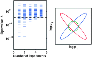Graphical abstract: Sloppy models, parameter uncertainty, and the role of experimental design
