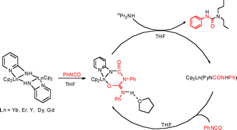 Graphical abstract: Isocyanate diinsertion into the N–H bond of the 2-pyridylamino ligand of organolanthanides