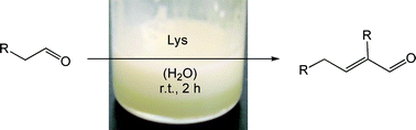 Graphical abstract: A green method for the self-aldol condensation of aldehydes using lysine