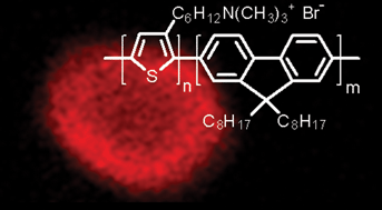 Graphical abstract: All-conjugated polyelectrolyte block copolymers