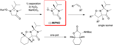 Graphical abstract: MiPNO, a new chiral cyclic nitrone for enantioselective amino acid synthesis: the cycloaddition approach