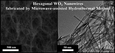 Graphical abstract: Synthesis of hexagonal WO3 nanowires by microwave-assisted hydrothermal method and their electrocatalytic activities for hydrogen evolution reaction