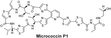 Graphical abstract: Micrococcin P1: Structure, biology and synthesis