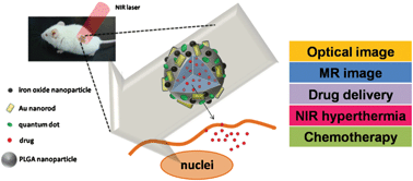 Graphical abstract: Multifunctional polymeric nanoparticles for combined chemotherapeutic and near-infrared photothermal cancer therapy in vitro and in vivo