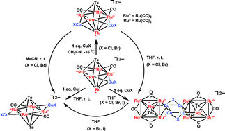 Graphical abstract: Bimetallic Ru–Cu tellurido complexes: controlled synthesis and electrochemical studies of copper halide–TeRu5 and Te2Ru4 clusters