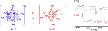 Graphical abstract: Using EPR to follow reversible dihydrogen addition to paramagnetic clusters of high hydride count: [Rh6(PCy3)6H12]+ and [Rh6(PCy3)6H14]+