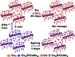 Graphical abstract: Aminoclay: a permselective matrix to stabilize copper nanoparticles