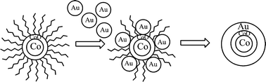 Graphical abstract: Co@CoO@Au core-multi-shell nanocrystals