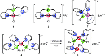 Graphical abstract: Palladium and iridium complexes with a N,P,N-bis(pyridine)phenylphosphine ligand