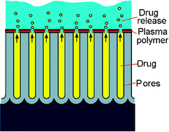 Graphical abstract: Controlled drug release from porous materials by plasma polymer deposition