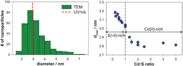 Graphical abstract: Spectroscopic determination of the size of cadmium sulfide nanoparticles formed under environmentally relevant conditions