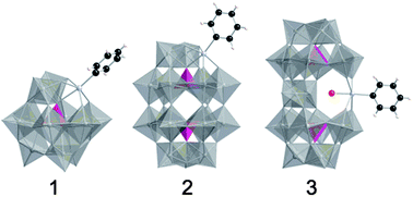 Graphical abstract: Mono-substituted Keggin, Wells-Dawson and {P2W21}-type polyoxometalates without positional disorder