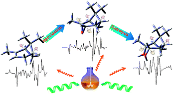 Graphical abstract: Chirality transition in the epoxidation of (−)-α-pinene and successive hydrolysis studied by Raman optical activity and DFT