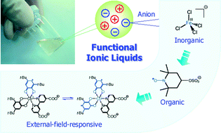 Graphical abstract: Design of functional ionic liquids using magneto- and luminescent-active anions