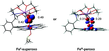 Graphical abstract: Studies on an iron(iii)-peroxo porphyrin. Iron(iii)-peroxo or iron(ii)-superoxo?