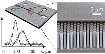 Graphical abstract: Enclosed pillar arrays integrated on a fluidic platform for on-chip separations and analysis