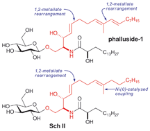 Graphical abstract: Synthesis of phalluside-1 and Sch II using 1,2-metallate rearrangements