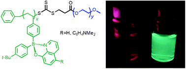 Graphical abstract: RAFT polymerization of luminescent boron quinolate monomers